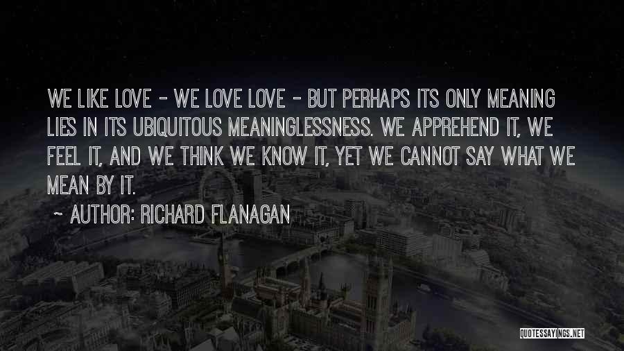 Richard Flanagan Quotes: We Like Love - We Love Love - But Perhaps Its Only Meaning Lies In Its Ubiquitous Meaninglessness. We Apprehend