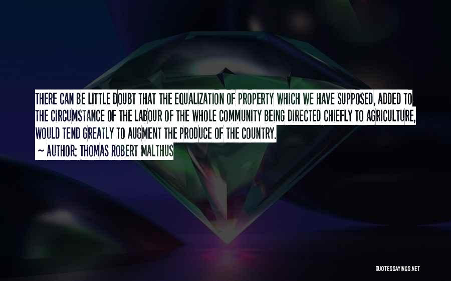 Thomas Robert Malthus Quotes: There Can Be Little Doubt That The Equalization Of Property Which We Have Supposed, Added To The Circumstance Of The