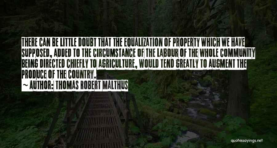 Thomas Robert Malthus Quotes: There Can Be Little Doubt That The Equalization Of Property Which We Have Supposed, Added To The Circumstance Of The