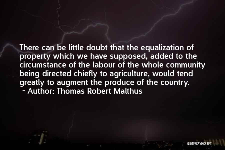 Thomas Robert Malthus Quotes: There Can Be Little Doubt That The Equalization Of Property Which We Have Supposed, Added To The Circumstance Of The