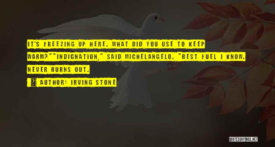 Irving Stone Quotes: It's Freezing Up Here. What Did You Use To Keep Warm?indignation, Said Michelangelo. Best Fuel I Know. Never Burns Out.