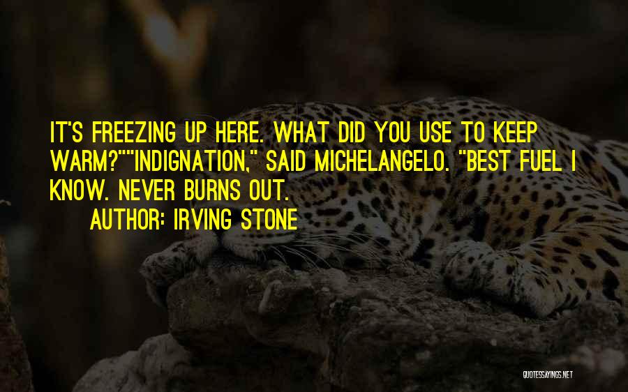 Irving Stone Quotes: It's Freezing Up Here. What Did You Use To Keep Warm?indignation, Said Michelangelo. Best Fuel I Know. Never Burns Out.