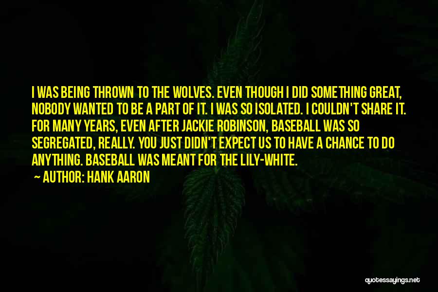 Hank Aaron Quotes: I Was Being Thrown To The Wolves. Even Though I Did Something Great, Nobody Wanted To Be A Part Of
