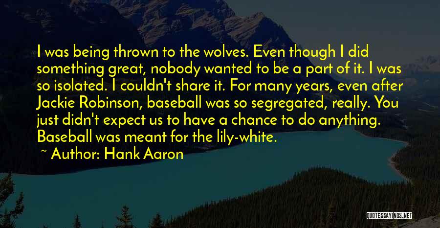 Hank Aaron Quotes: I Was Being Thrown To The Wolves. Even Though I Did Something Great, Nobody Wanted To Be A Part Of