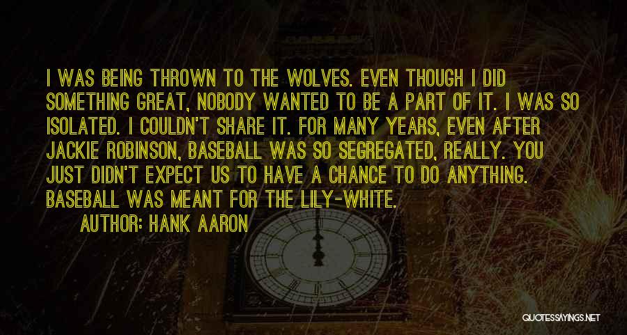 Hank Aaron Quotes: I Was Being Thrown To The Wolves. Even Though I Did Something Great, Nobody Wanted To Be A Part Of