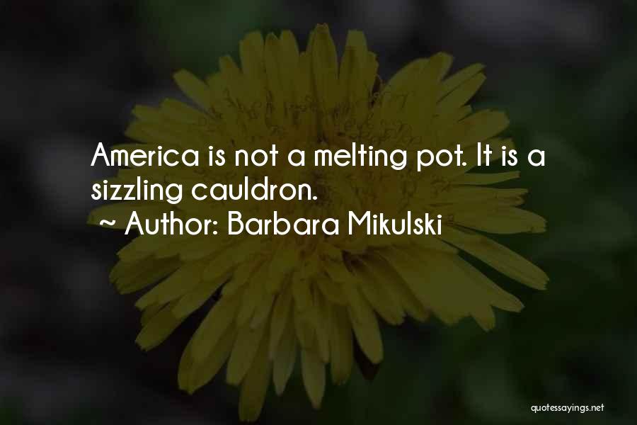 Barbara Mikulski Quotes: America Is Not A Melting Pot. It Is A Sizzling Cauldron.