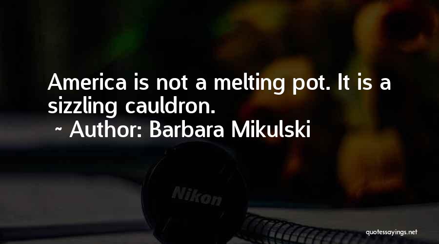 Barbara Mikulski Quotes: America Is Not A Melting Pot. It Is A Sizzling Cauldron.