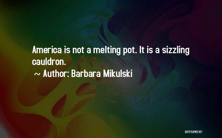 Barbara Mikulski Quotes: America Is Not A Melting Pot. It Is A Sizzling Cauldron.