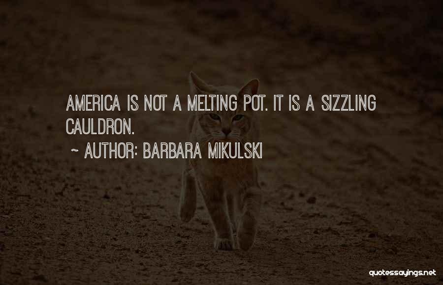 Barbara Mikulski Quotes: America Is Not A Melting Pot. It Is A Sizzling Cauldron.