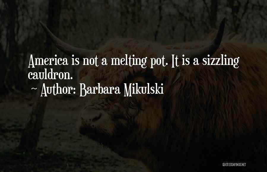 Barbara Mikulski Quotes: America Is Not A Melting Pot. It Is A Sizzling Cauldron.