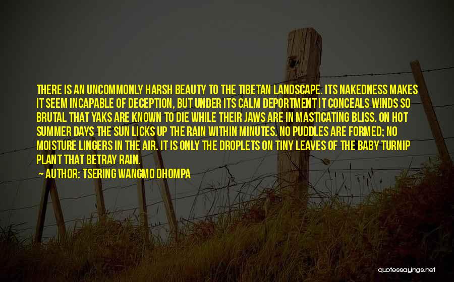 Tsering Wangmo Dhompa Quotes: There Is An Uncommonly Harsh Beauty To The Tibetan Landscape. Its Nakedness Makes It Seem Incapable Of Deception, But Under
