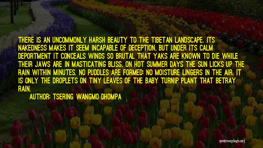 Tsering Wangmo Dhompa Quotes: There Is An Uncommonly Harsh Beauty To The Tibetan Landscape. Its Nakedness Makes It Seem Incapable Of Deception, But Under