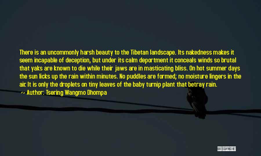 Tsering Wangmo Dhompa Quotes: There Is An Uncommonly Harsh Beauty To The Tibetan Landscape. Its Nakedness Makes It Seem Incapable Of Deception, But Under