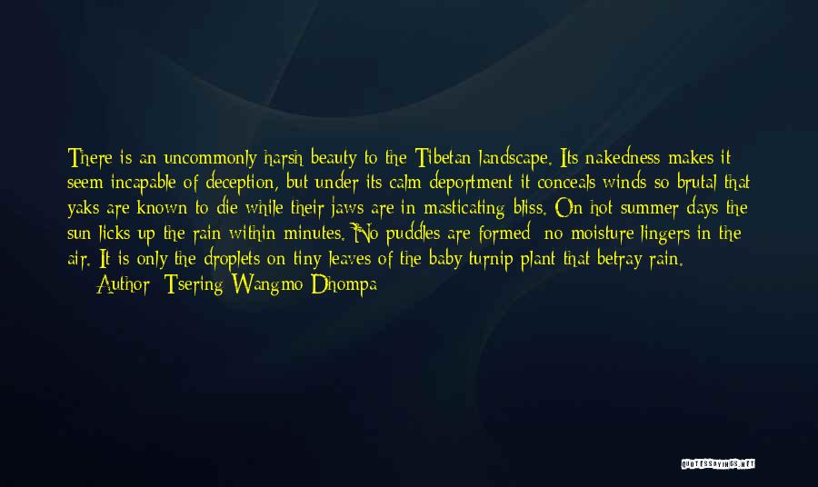 Tsering Wangmo Dhompa Quotes: There Is An Uncommonly Harsh Beauty To The Tibetan Landscape. Its Nakedness Makes It Seem Incapable Of Deception, But Under