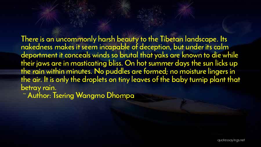 Tsering Wangmo Dhompa Quotes: There Is An Uncommonly Harsh Beauty To The Tibetan Landscape. Its Nakedness Makes It Seem Incapable Of Deception, But Under