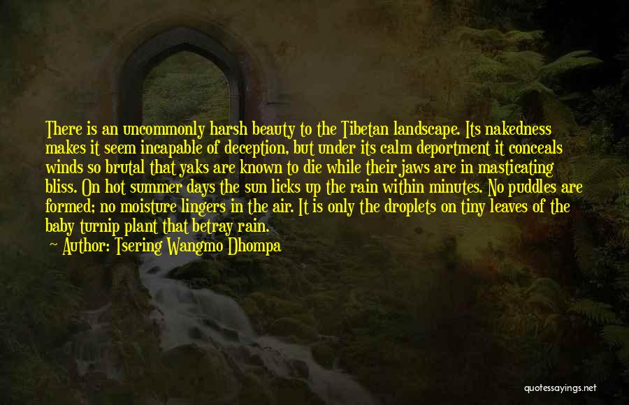 Tsering Wangmo Dhompa Quotes: There Is An Uncommonly Harsh Beauty To The Tibetan Landscape. Its Nakedness Makes It Seem Incapable Of Deception, But Under
