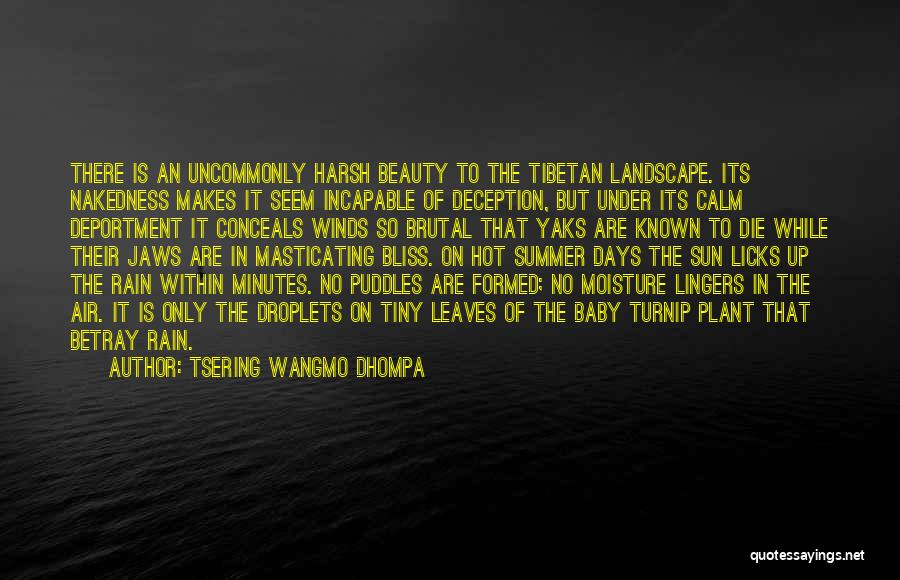 Tsering Wangmo Dhompa Quotes: There Is An Uncommonly Harsh Beauty To The Tibetan Landscape. Its Nakedness Makes It Seem Incapable Of Deception, But Under