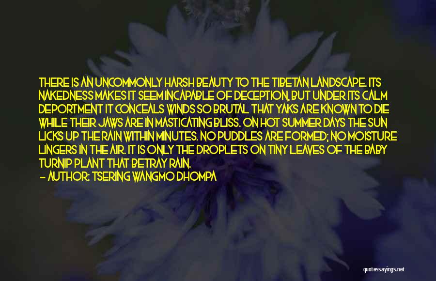 Tsering Wangmo Dhompa Quotes: There Is An Uncommonly Harsh Beauty To The Tibetan Landscape. Its Nakedness Makes It Seem Incapable Of Deception, But Under
