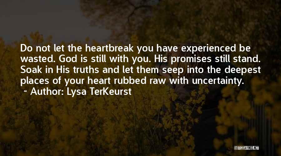 Lysa TerKeurst Quotes: Do Not Let The Heartbreak You Have Experienced Be Wasted. God Is Still With You. His Promises Still Stand. Soak