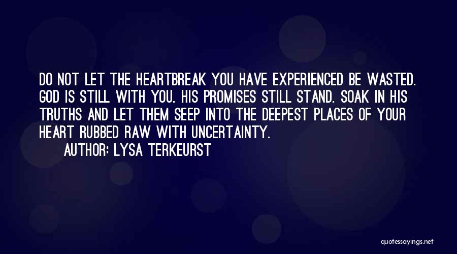 Lysa TerKeurst Quotes: Do Not Let The Heartbreak You Have Experienced Be Wasted. God Is Still With You. His Promises Still Stand. Soak