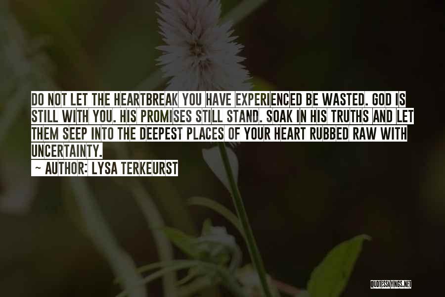 Lysa TerKeurst Quotes: Do Not Let The Heartbreak You Have Experienced Be Wasted. God Is Still With You. His Promises Still Stand. Soak