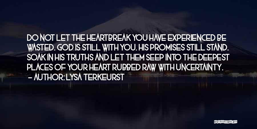 Lysa TerKeurst Quotes: Do Not Let The Heartbreak You Have Experienced Be Wasted. God Is Still With You. His Promises Still Stand. Soak