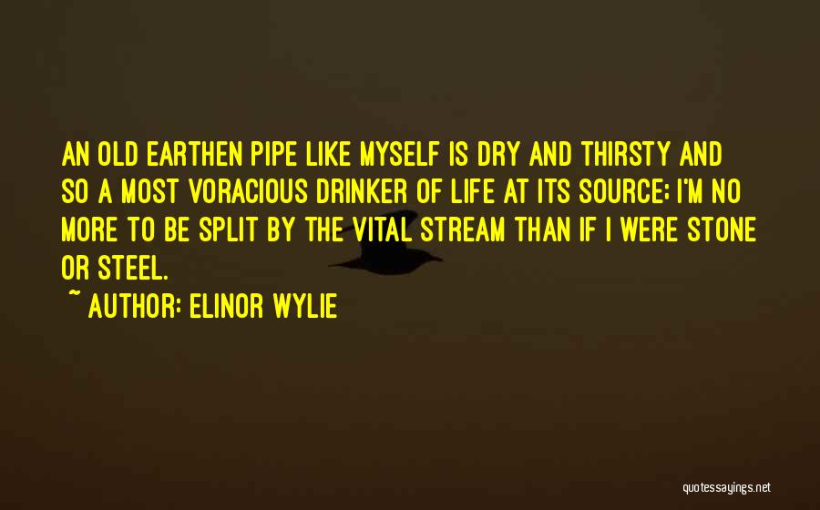 Elinor Wylie Quotes: An Old Earthen Pipe Like Myself Is Dry And Thirsty And So A Most Voracious Drinker Of Life At Its