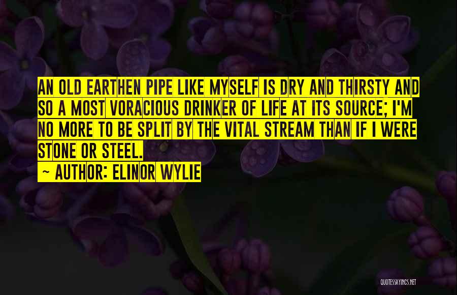 Elinor Wylie Quotes: An Old Earthen Pipe Like Myself Is Dry And Thirsty And So A Most Voracious Drinker Of Life At Its