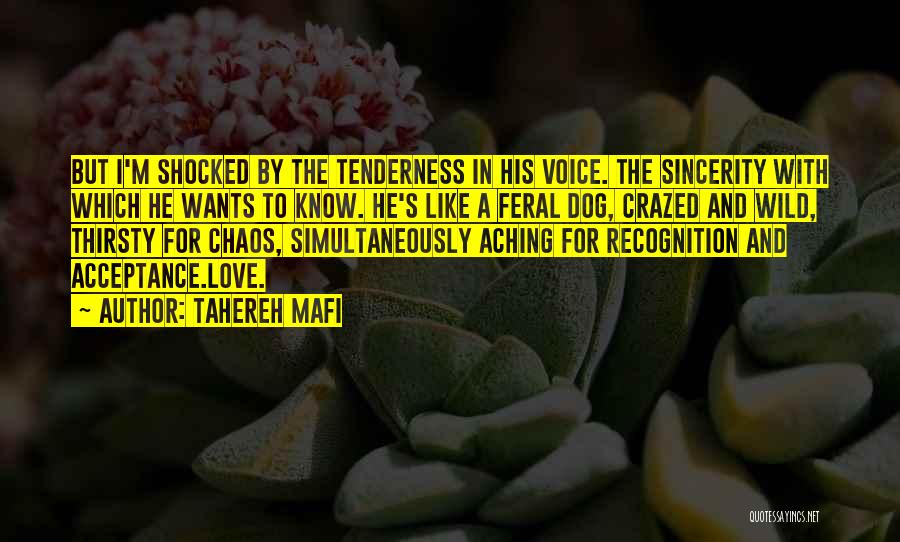 Tahereh Mafi Quotes: But I'm Shocked By The Tenderness In His Voice. The Sincerity With Which He Wants To Know. He's Like A