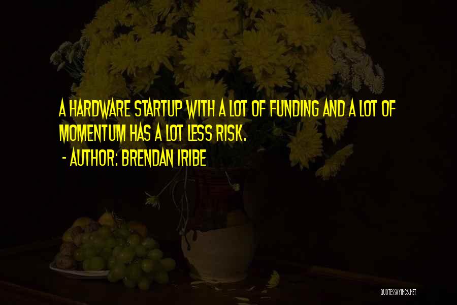 Brendan Iribe Quotes: A Hardware Startup With A Lot Of Funding And A Lot Of Momentum Has A Lot Less Risk.
