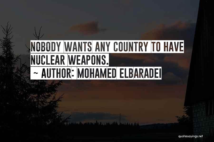 Mohamed ElBaradei Quotes: Nobody Wants Any Country To Have Nuclear Weapons.