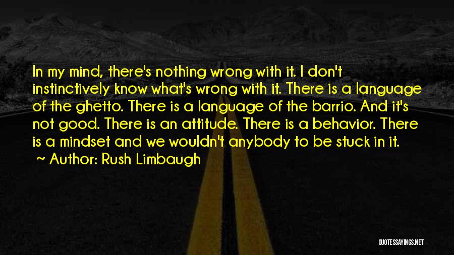 Rush Limbaugh Quotes: In My Mind, There's Nothing Wrong With It. I Don't Instinctively Know What's Wrong With It. There Is A Language