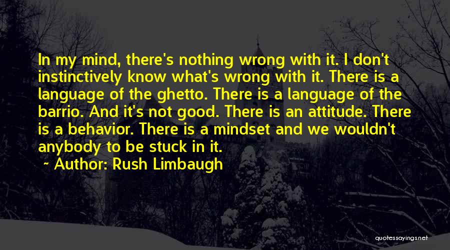 Rush Limbaugh Quotes: In My Mind, There's Nothing Wrong With It. I Don't Instinctively Know What's Wrong With It. There Is A Language