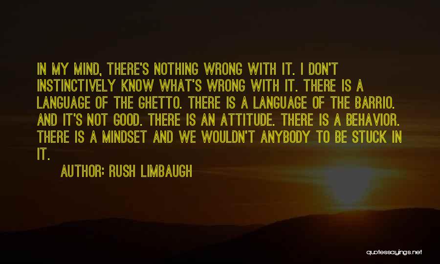 Rush Limbaugh Quotes: In My Mind, There's Nothing Wrong With It. I Don't Instinctively Know What's Wrong With It. There Is A Language