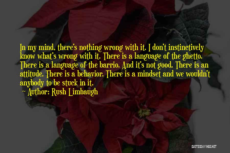Rush Limbaugh Quotes: In My Mind, There's Nothing Wrong With It. I Don't Instinctively Know What's Wrong With It. There Is A Language