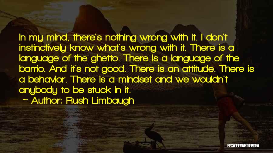 Rush Limbaugh Quotes: In My Mind, There's Nothing Wrong With It. I Don't Instinctively Know What's Wrong With It. There Is A Language