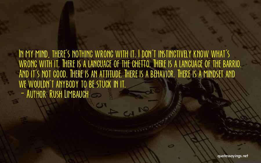 Rush Limbaugh Quotes: In My Mind, There's Nothing Wrong With It. I Don't Instinctively Know What's Wrong With It. There Is A Language