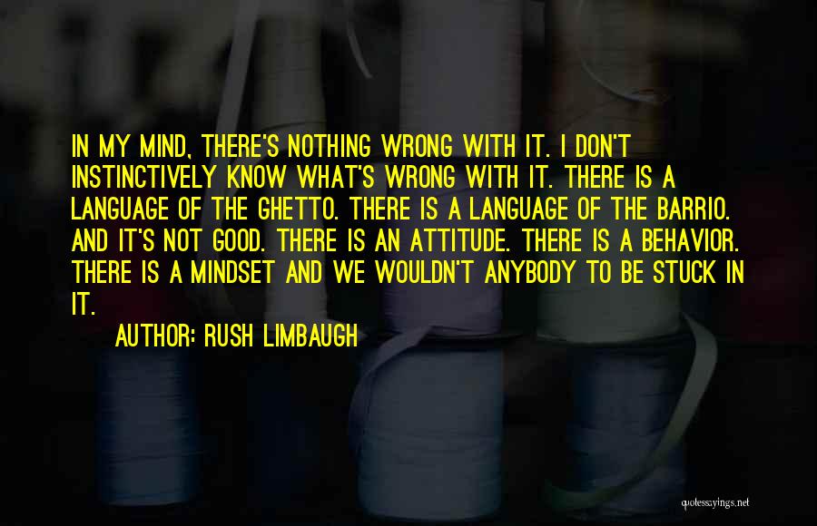Rush Limbaugh Quotes: In My Mind, There's Nothing Wrong With It. I Don't Instinctively Know What's Wrong With It. There Is A Language