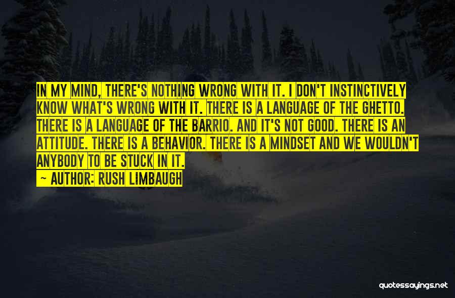 Rush Limbaugh Quotes: In My Mind, There's Nothing Wrong With It. I Don't Instinctively Know What's Wrong With It. There Is A Language