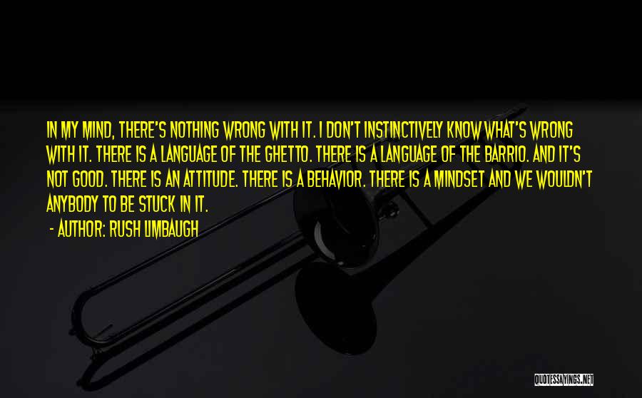 Rush Limbaugh Quotes: In My Mind, There's Nothing Wrong With It. I Don't Instinctively Know What's Wrong With It. There Is A Language