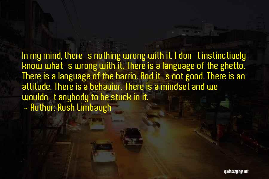Rush Limbaugh Quotes: In My Mind, There's Nothing Wrong With It. I Don't Instinctively Know What's Wrong With It. There Is A Language