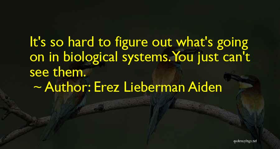 Erez Lieberman Aiden Quotes: It's So Hard To Figure Out What's Going On In Biological Systems. You Just Can't See Them.