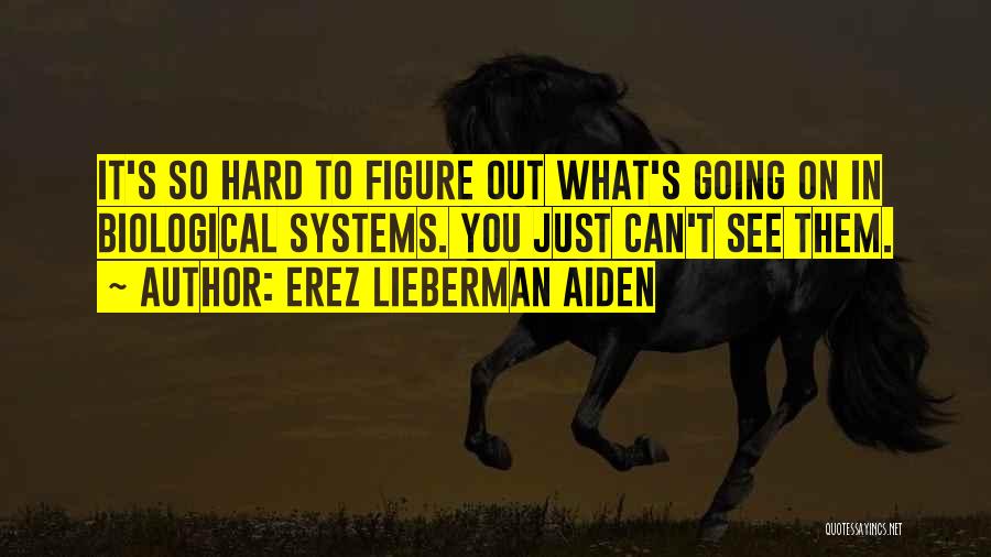 Erez Lieberman Aiden Quotes: It's So Hard To Figure Out What's Going On In Biological Systems. You Just Can't See Them.