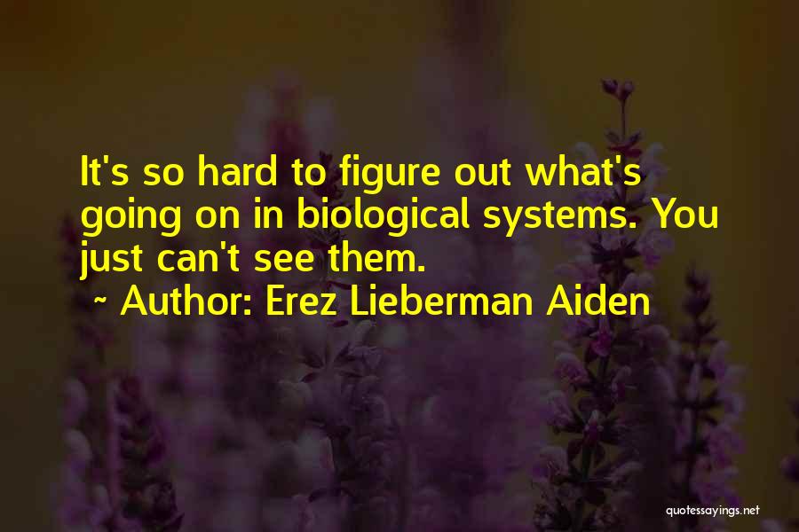 Erez Lieberman Aiden Quotes: It's So Hard To Figure Out What's Going On In Biological Systems. You Just Can't See Them.