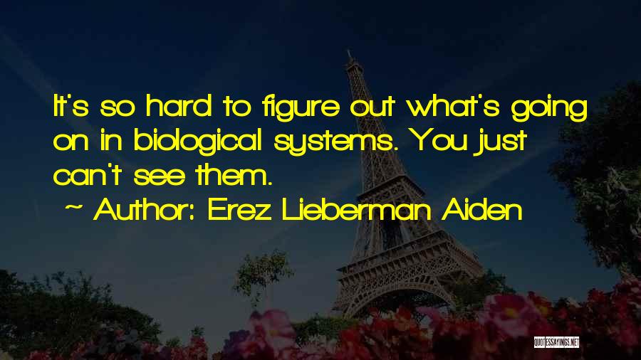 Erez Lieberman Aiden Quotes: It's So Hard To Figure Out What's Going On In Biological Systems. You Just Can't See Them.
