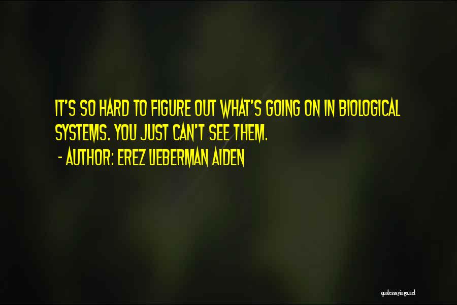 Erez Lieberman Aiden Quotes: It's So Hard To Figure Out What's Going On In Biological Systems. You Just Can't See Them.