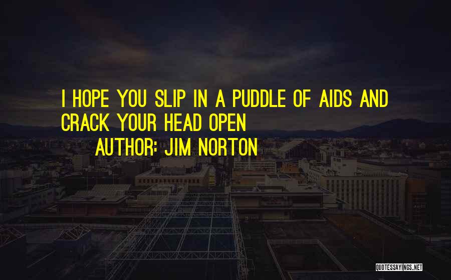 Jim Norton Quotes: I Hope You Slip In A Puddle Of Aids And Crack Your Head Open