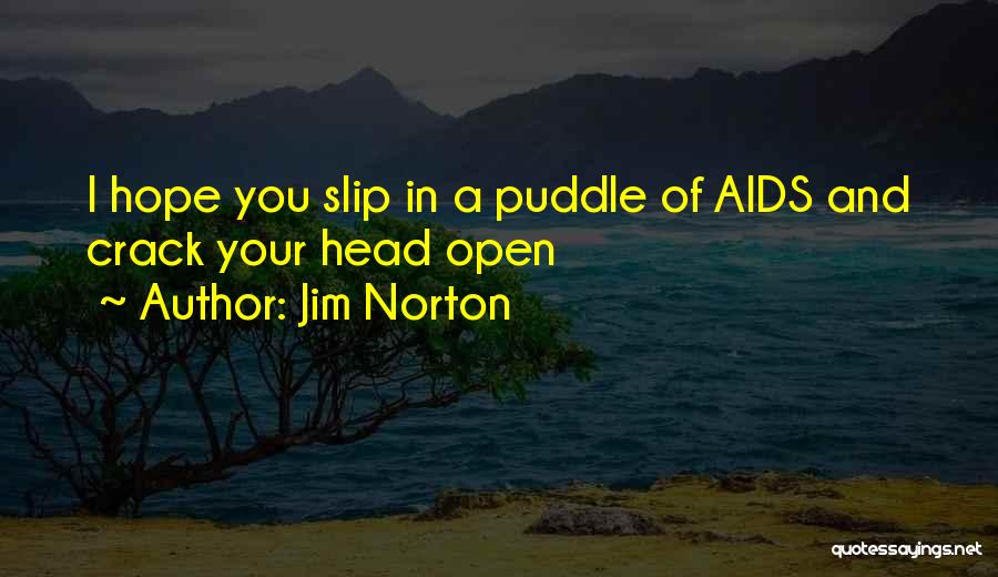 Jim Norton Quotes: I Hope You Slip In A Puddle Of Aids And Crack Your Head Open