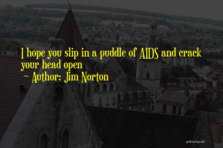 Jim Norton Quotes: I Hope You Slip In A Puddle Of Aids And Crack Your Head Open