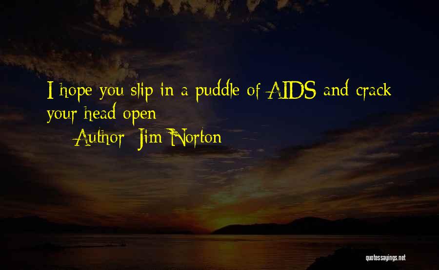 Jim Norton Quotes: I Hope You Slip In A Puddle Of Aids And Crack Your Head Open